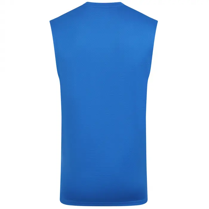 Wolverhampton Wanderers Store | Shop Official 2025-26 Players Training Vest – Blue Wolves Gear